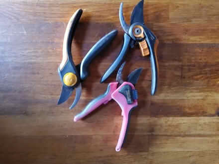 Photo of free Secateurs (Cherry Orchard) #2