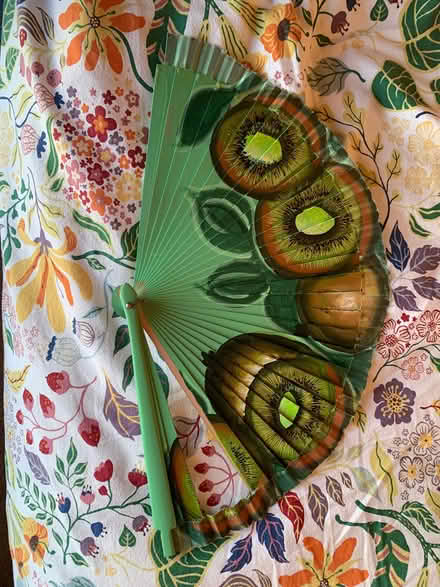 Photo of free Kiwi Hand Fan (Eastlands CV22) #2