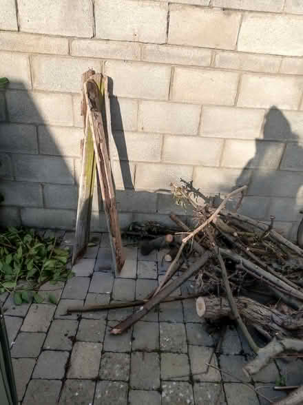 Photo of free tree cuttings - fire wood (Harmonstown) #2
