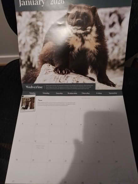 Photo of free 2026 large wall calendar (near Spring Ridge frederick) #2