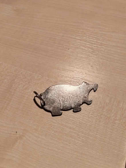 Photo of free Bottle opener (Lower Sydenham) #1