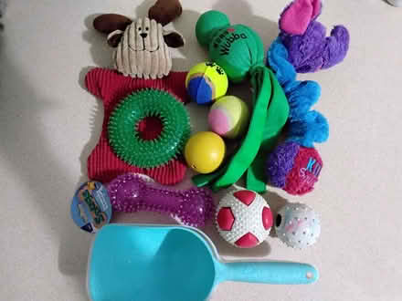 Photo of free Dog toys and food scoops (Bryn Gates WN2) #1
