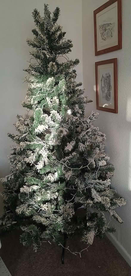 Photo of free 6ft Christmas tree (NG21 0hx) #1