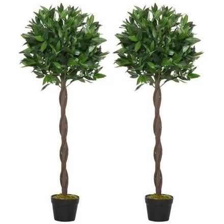 Photo of Artificial Indoor or Outdoor plants (Florence Park OX4) #2