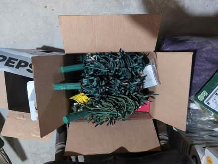 Photo of free Mini Incandescent Christmas Lights (Salem, NH) #1