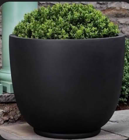 Photo of Large indoor planter (East Somerville) #1