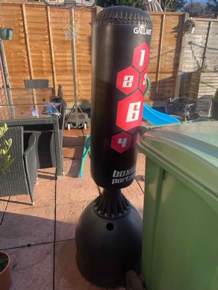 Photo of free Freestanding boxing bag (BR6) #1