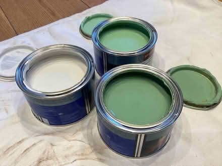 Photo of free Paint - green, white (Hurdsfield SK11) #1