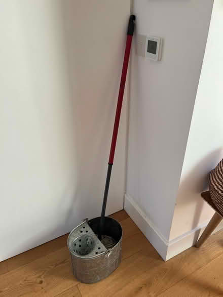 Photo of free Mop and bucket (Upper Wolvercote OX2) #1