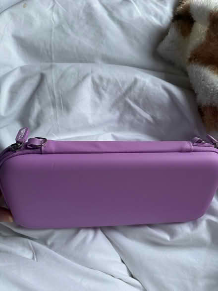 Photo of free Switch OLED case (SW16) #3