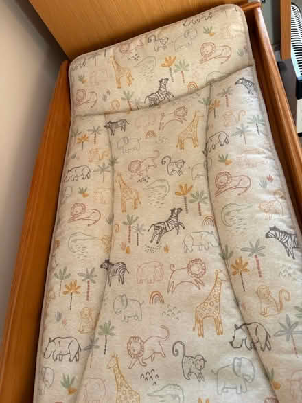 Photo of free Baby change table (Bensham, Gateshead NE8) #2