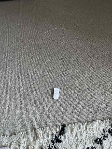 Photo of free Fairy lights (SW11) #1