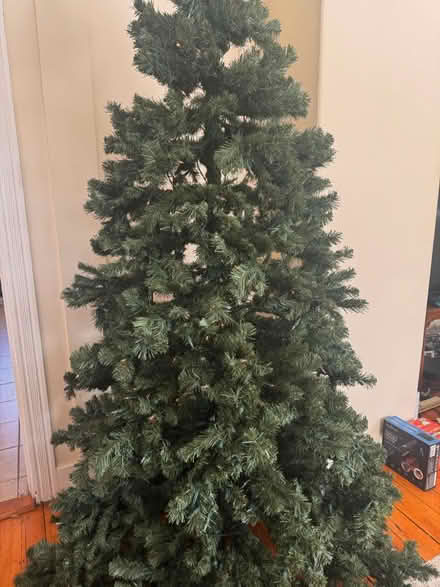 Photo of free Christmas Tree (Waltham MA) #1