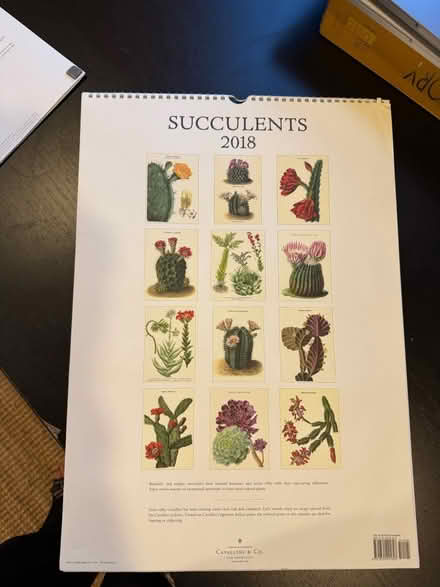 Photo of free succulent calendar (Alameda) (West side) #2