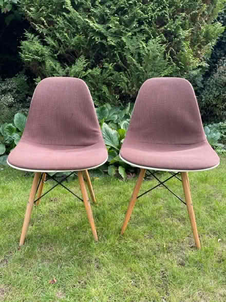 Photo of free Eames dining chairs x 2 (Banstead) #1