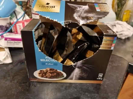 Photo of free Cat food (Bedford) #2