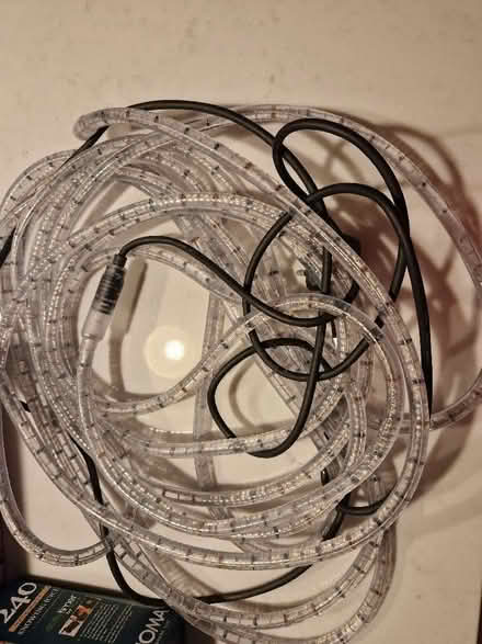 Photo of free Christmas lights (North Tonbridge TN10) #1