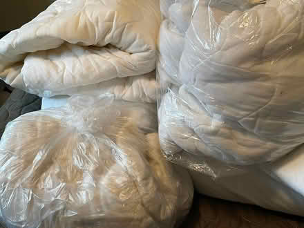 Photo of free Assorted FITTED MATTRESS PADS (Laytonsville) #1