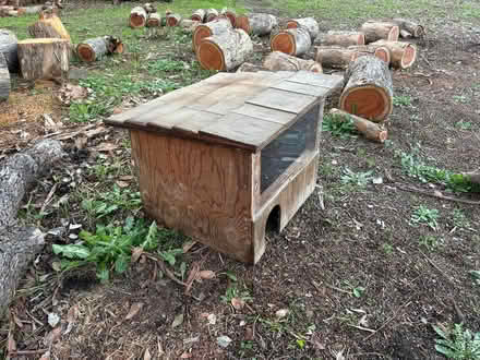 Photo of free Bunny hutch/house with "window" (Gilroy Northwest - Rural) #3