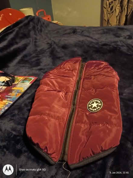 Photo of free dog jacket xl (Drylaw EH4) #1