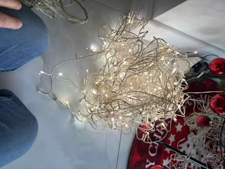 Photo of free Christmas lights (Camberley) #1