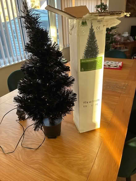 Photo of free Small Christmas tree (Horsham) #1