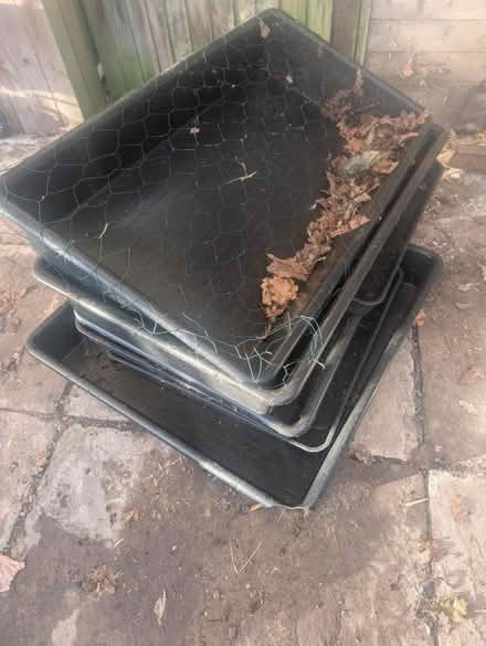 Photo of free Plastic Trays (Horsham Roffee) #1