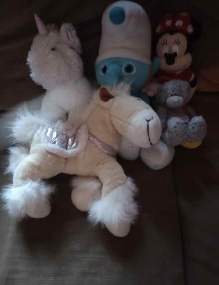 Photo of free Teddies (Moldgreen HD5) #1