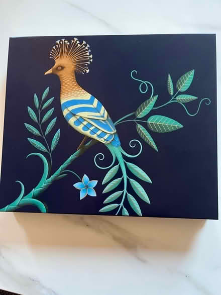Photo of free Decorative Peacock Tin (Winkfield Row RG42) #1