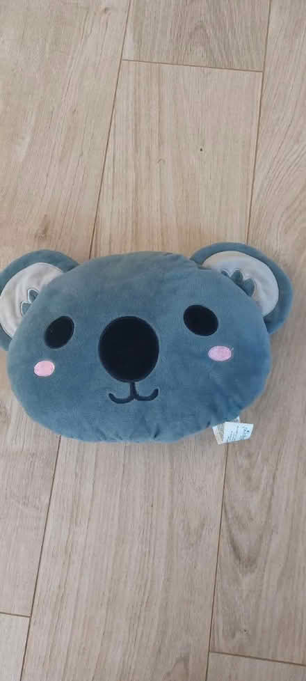 Photo of free Koala cushion (Lower Caversham, RG4) #1