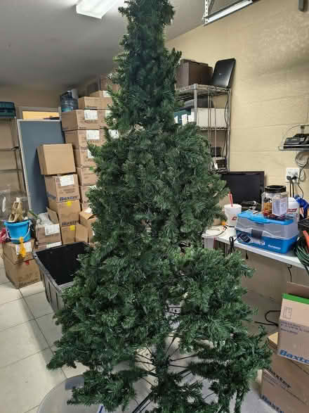 Photo of free 8 foot Christmas prelit tree (Majestic oaks subdivision) #1