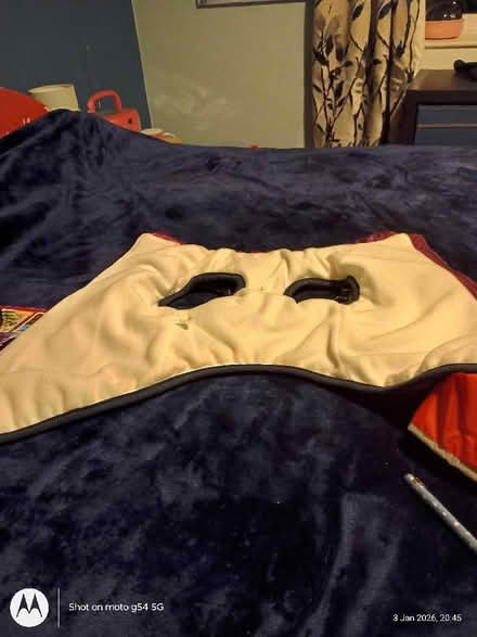 Photo of free dog jacket xl (Drylaw EH4) #2