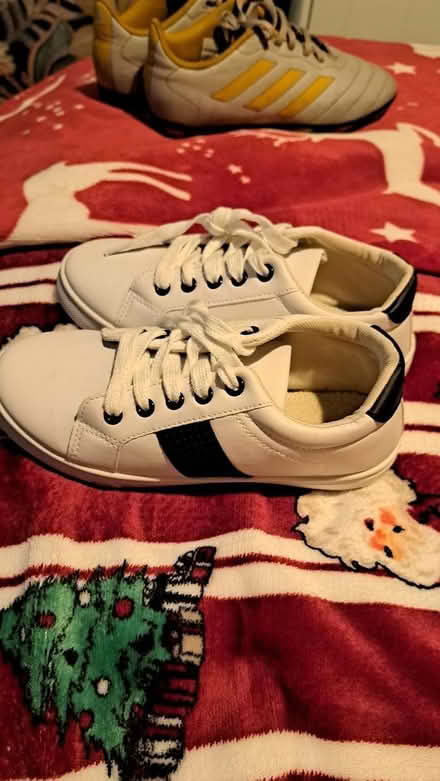 Photo of free Trainers (Gosport PO13) #1