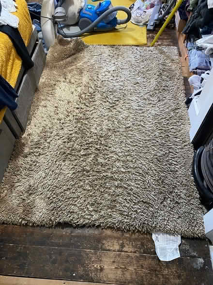 Photo of free Large shaggy rug (Iffley OX4) #1