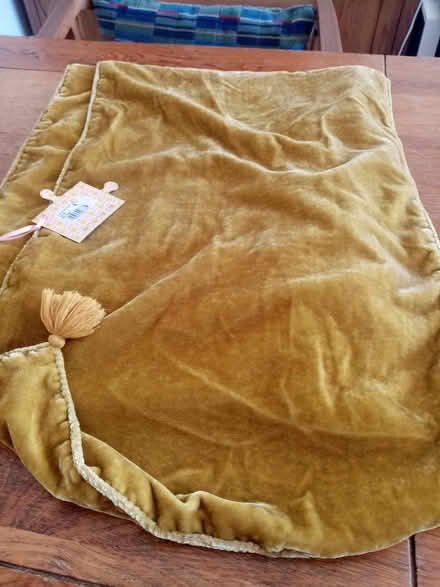 Photo of free New velvet scarf (Victoria SW1) #1