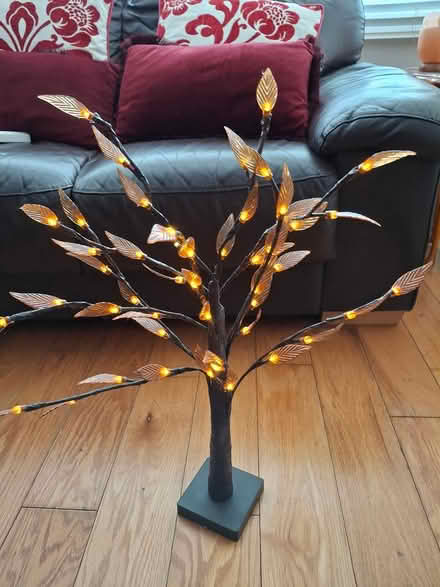 Photo of free Light up tree (sidcup DA15) #1