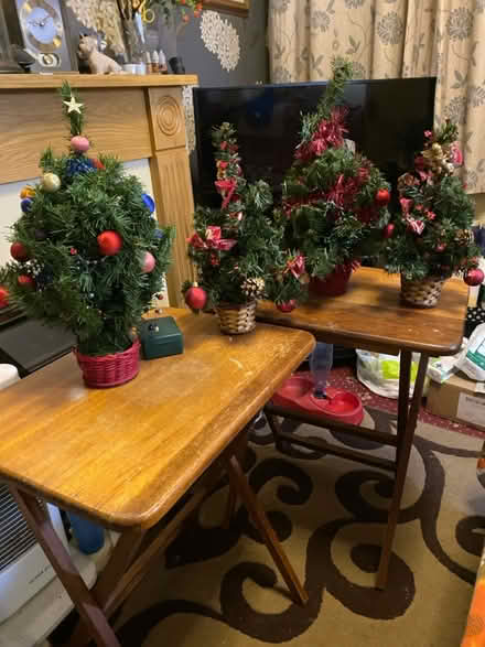 Photo of free 4 x Xmas trees (B9 bordesley green) #1