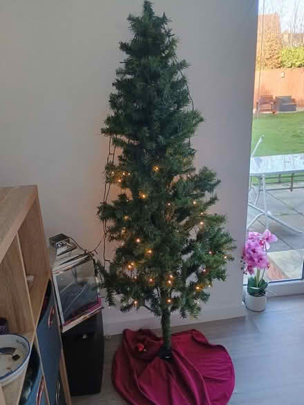Photo of free Christmas tree (CH49) #2