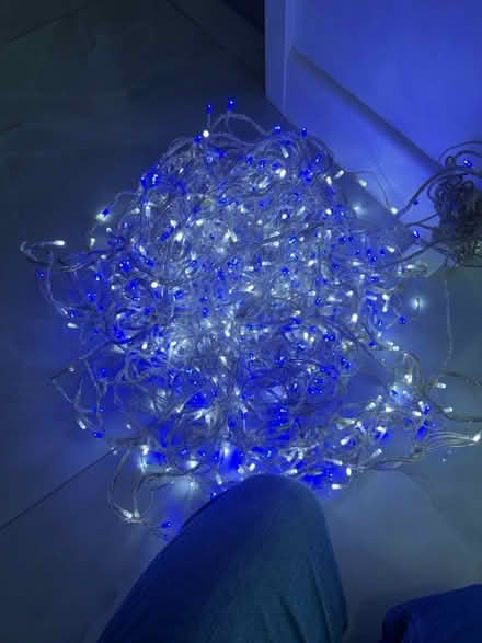 Photo of free Blue and white Christmas lights #2 (Camberley) #1