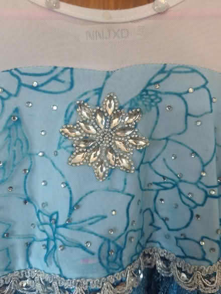Photo of free Well loved Frozen Elsa dress age 6 (TA19) #2