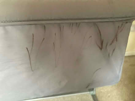 Photo of free Next to me chicco cot (Bury BL8) #4