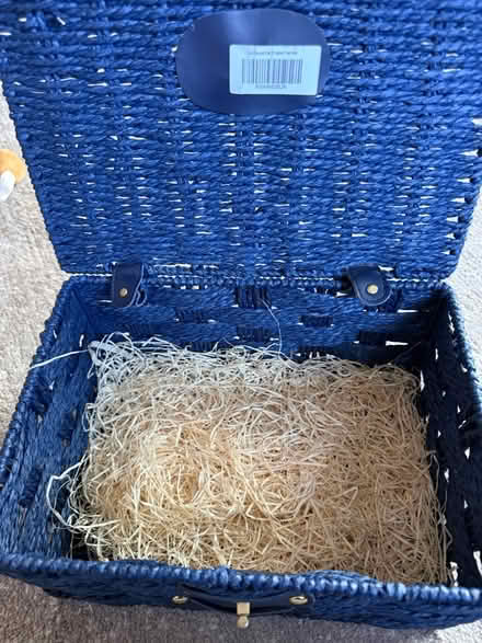 Photo of free Blue Basket (Rahn Rd CM16) #4