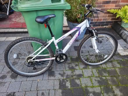 Photo of free Girls Apollo bike 14inch frame (Norton Sheffield S8) #1