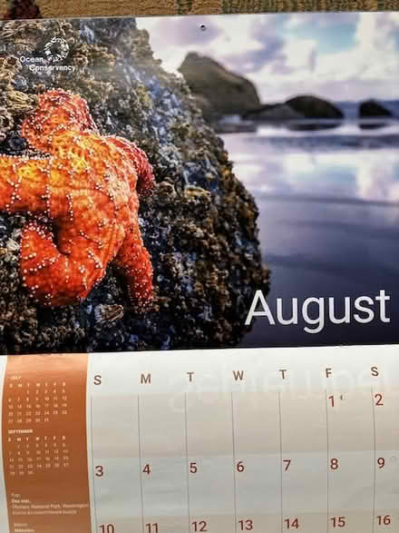 Photo of free 2025 calendars for the photos (south sunnyvale) #1