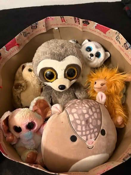 Photo of free Cute toys! 🧸 (Reading RG2) #4