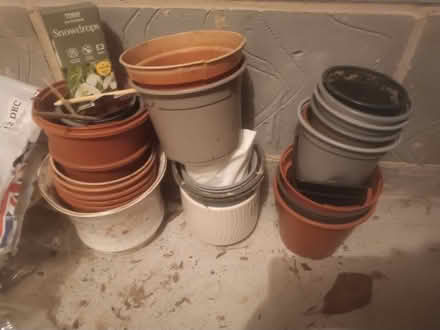 Photo of free Plant pots (Heanor DE75) #1