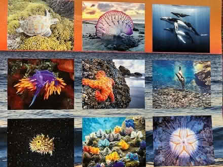 Photo of free 2025 calendars for the photos (south sunnyvale) #4