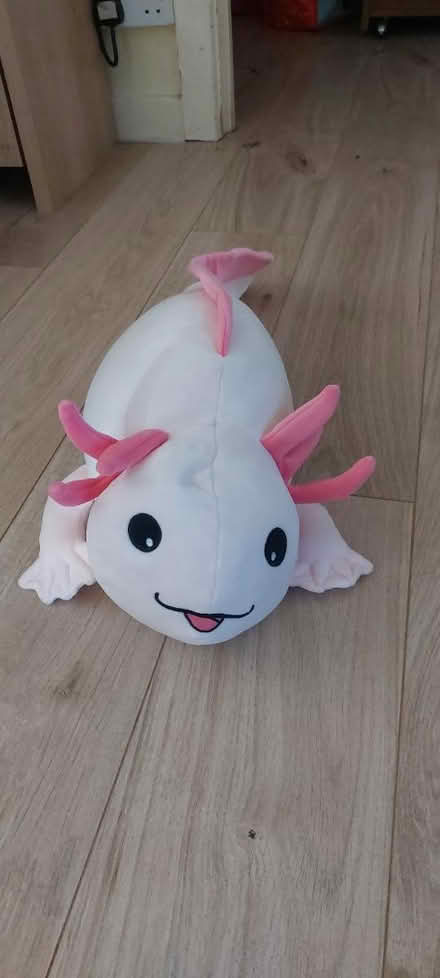 Photo of free Toy axolotl (Lower Caversham, RG4) #1