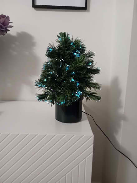 Photo of free Fibre Optic Christmas Tree (Caerphilly CF83) #2