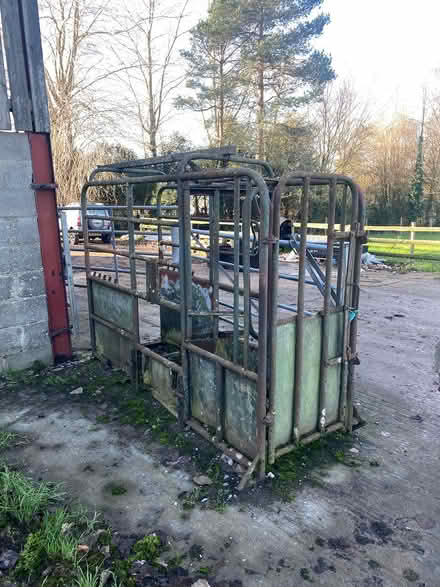 Photo of free Cattle crush (BS35) #1